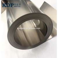 hot sale nickel price, nickel strip, nickel foil price per kg